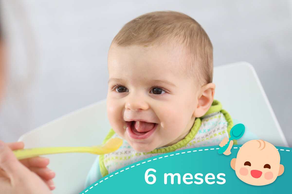 Cómo alimentar un bebé de 6 meses (incluye menú) - Tua Saúde