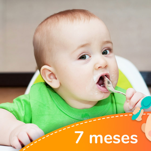 Menú Semanal Para Bebés De 6 Meses Papillas Purés Y Cantidades