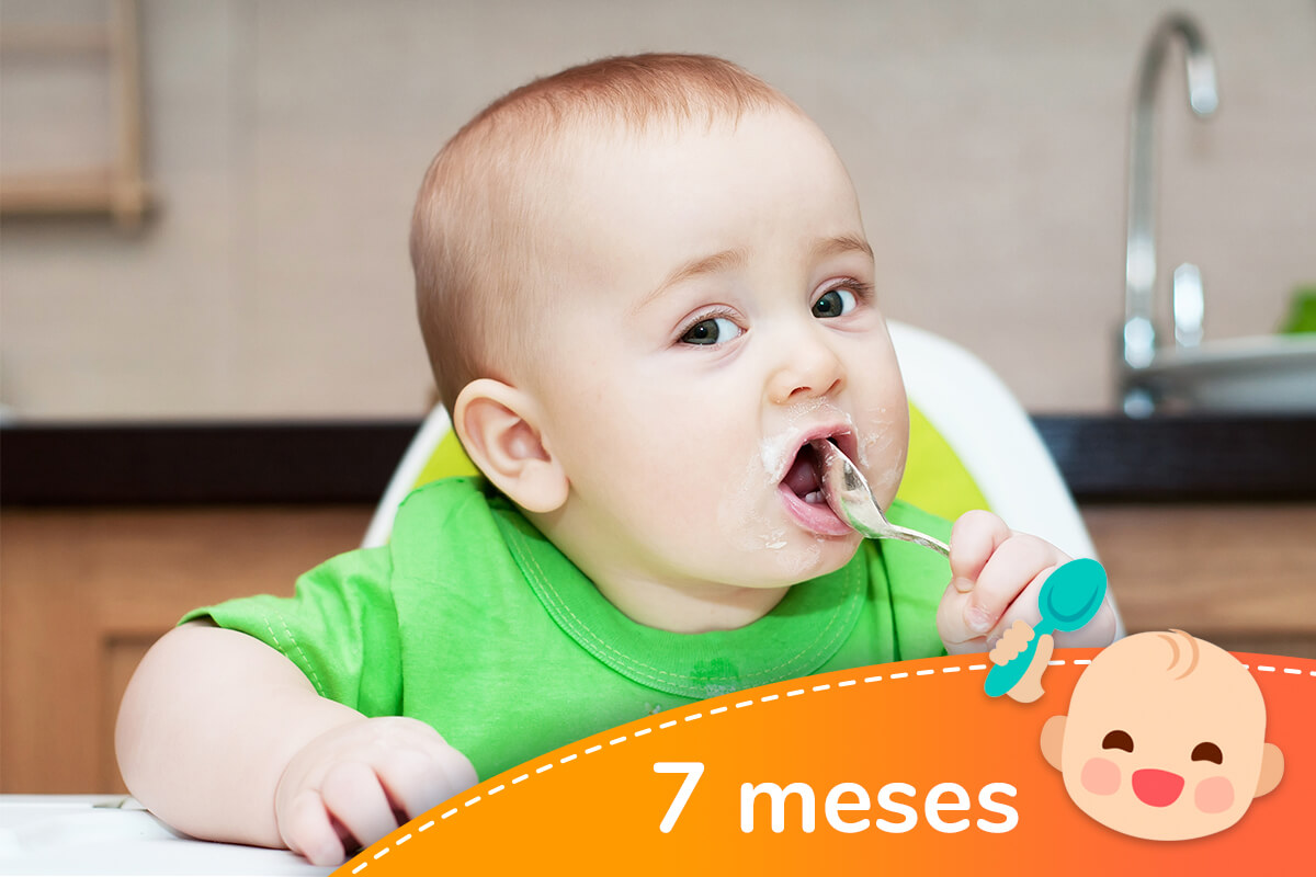 ▷ Menú para bebés de 7 meses Sano y Variado