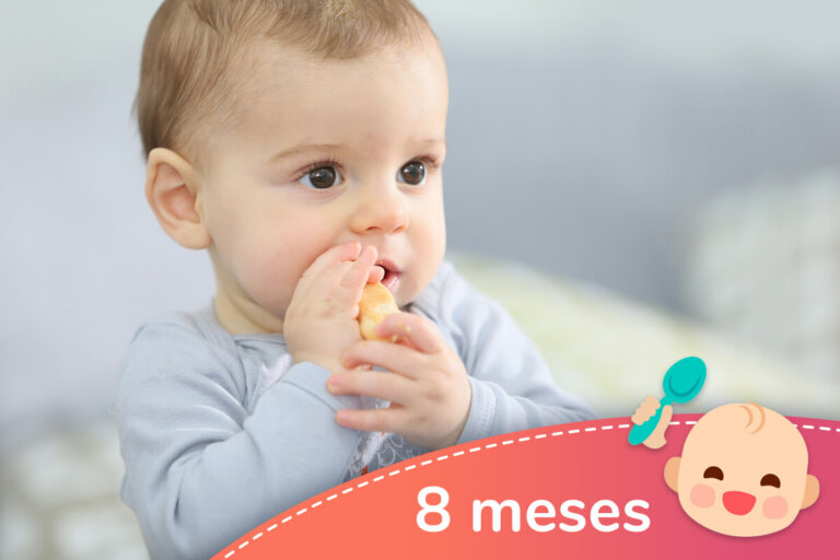 Menú semanal para bebés de 8 meses - Recetas para mi bebé