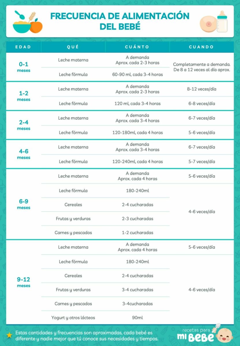 Tabla de frecuencia de alimentación del bebé de 0 a 12 meses