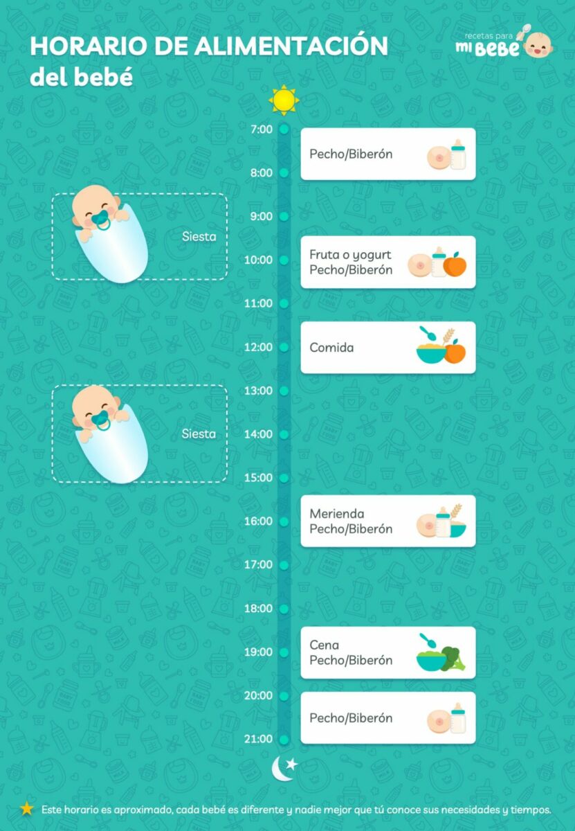 Horario de alimentación del bebé a partir de 6 meses